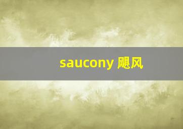 saucony 飓风